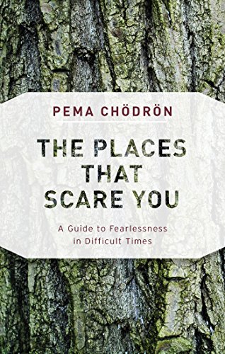 The Places That Scare You: A Guide to Fearlessness in Difficult Times book cover