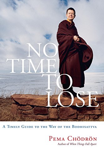 No Time to Lose: A Timely Guide to the Way of the Bodhisattva book cover