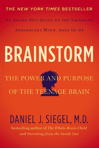 Brainstorm: The Teenage Brain from the Inside Out book cover