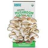 Back to the Roots Mushroom Grow Kit