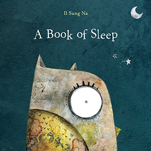 A Book of Sleep book cover