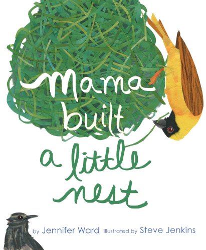 Mama Built a Little Nest book cover