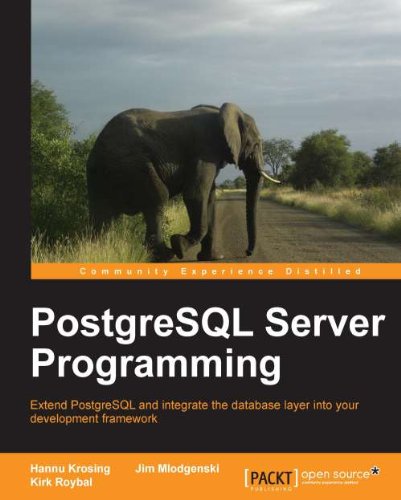 PostgreSQL Server Programming book cover
