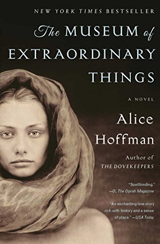 The Museum of Extraordinary Things book cover