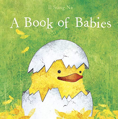 A Book of Babies book cover