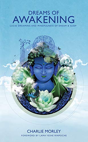 Dreams of Awakening book cover