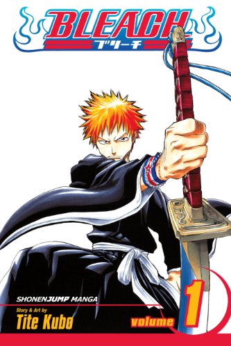 Bleach, Volume 01 book cover