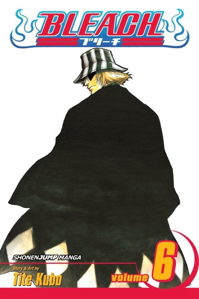 Bleach, Volume 06 book cover