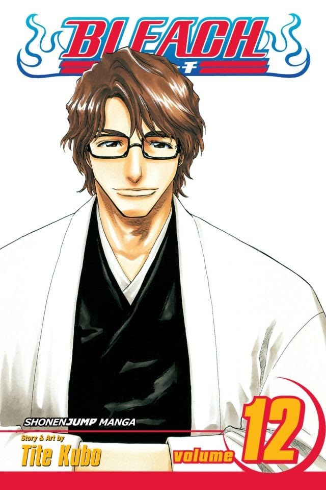 Bleach, Volume 12 book cover