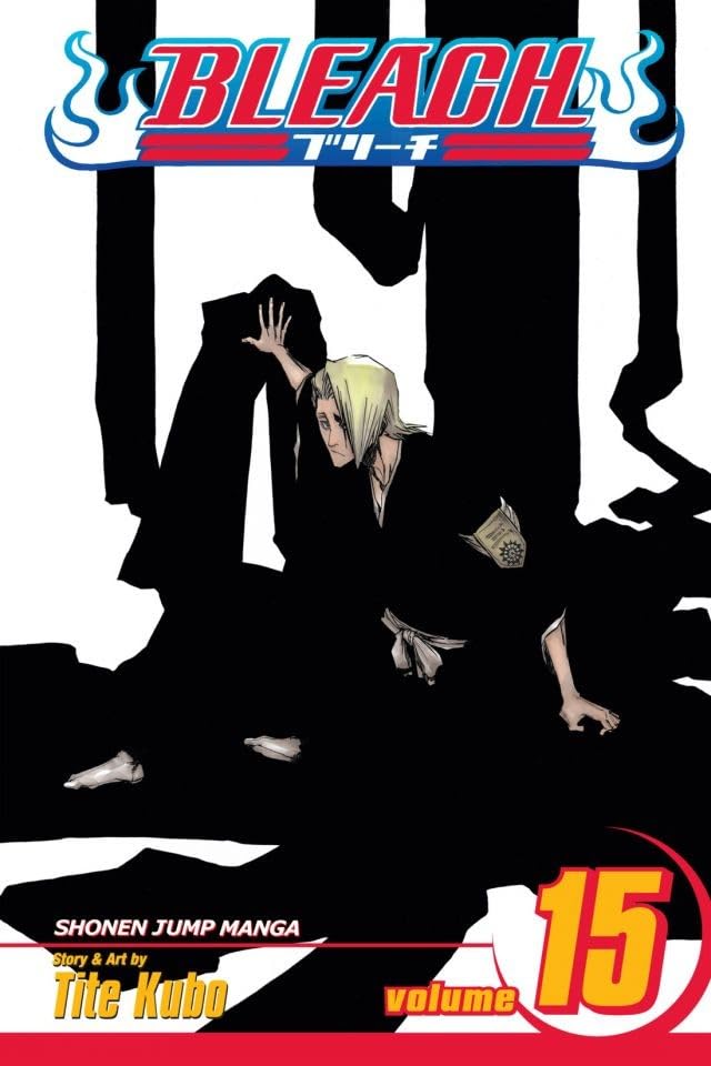 Bleach, Volume 15 book cover