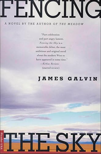 Fencing the Sky: A Novel book cover