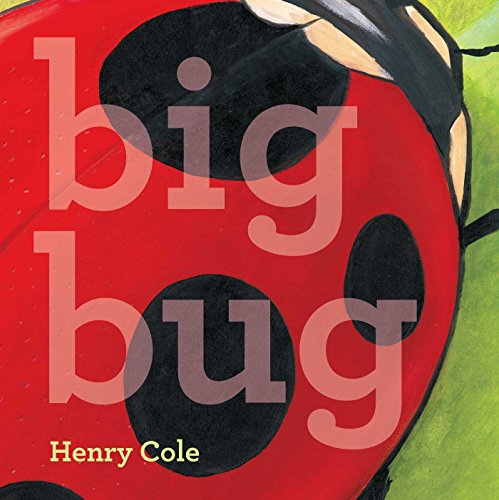 Big Bug book cover
