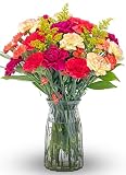 Benchmark Bouquets Carnation Flower Bouquet Graduation Flowe
