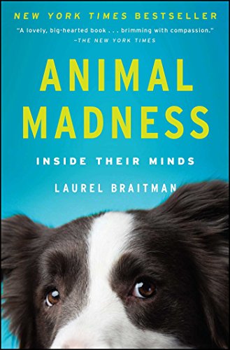 Animal Madness: How Anxious Dogs, Compulsive Parrots, and Elephants in Recovery Help Us Understand Ourselves book cover