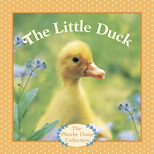 The Little Duck book cover