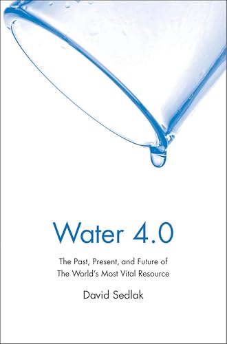 Water 4.0: The Past, Present, and Future of the World's Most Vital Resource book cover