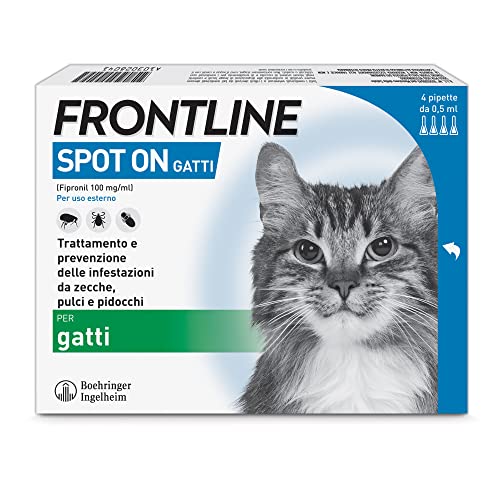 Frontline Spot On Gatti