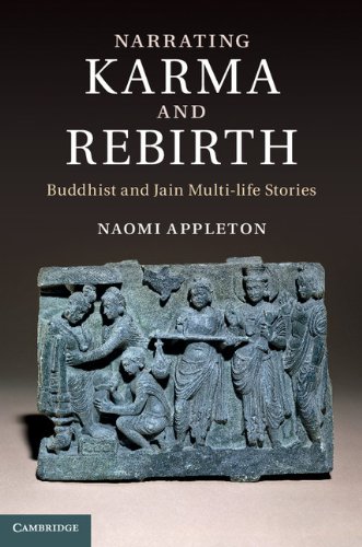 Narrating Karma and Rebirth book cover