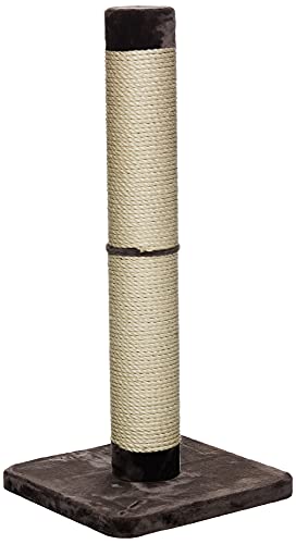 MidWest Feline Nuvo Grand Forte