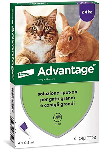 Advantage Gatti