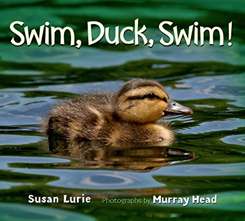 Swim, Duck, Swim! book cover