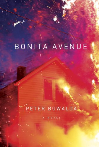 Bonita Avenue book cover