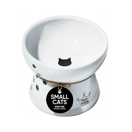 Necoichi raised ceramic cat food bowl, 1 cup capacity