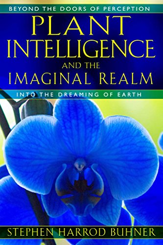 Plant Intelligence and the Imaginal Realm: Beyond the Doors of Perception into the Dreaming of Earth book cover