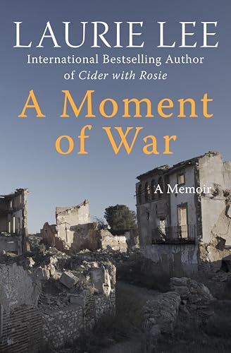 A Moment of War book cover