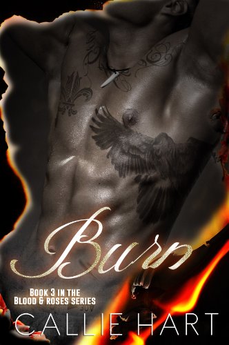 Burn (Blood & Roses, #3) book cover