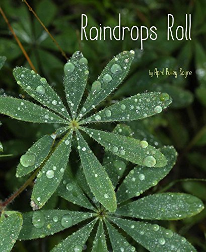 Raindrops Roll book cover