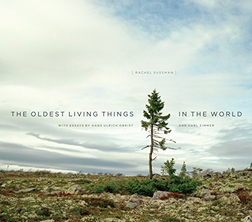 The Oldest Living Things in the World book cover