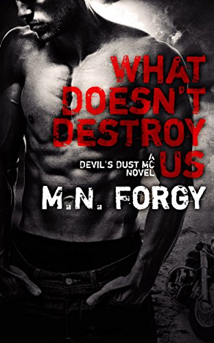 What Doesn't Destroy Us (The Devil's Dust, #1) book cover