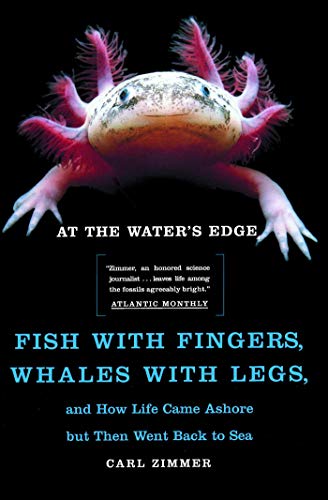 At the Water's Edge: Fish with Fingers, Whales with Legs, and How Life Came Ashore but Then Went Back to Sea book cover