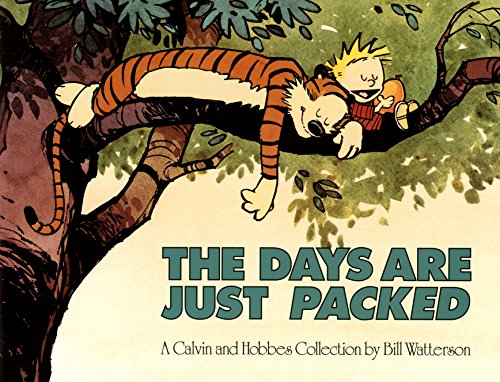 The Days Are Just Packed book cover