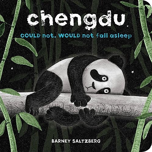 Chengdu Could Not Would Not Fall Asleep book cover