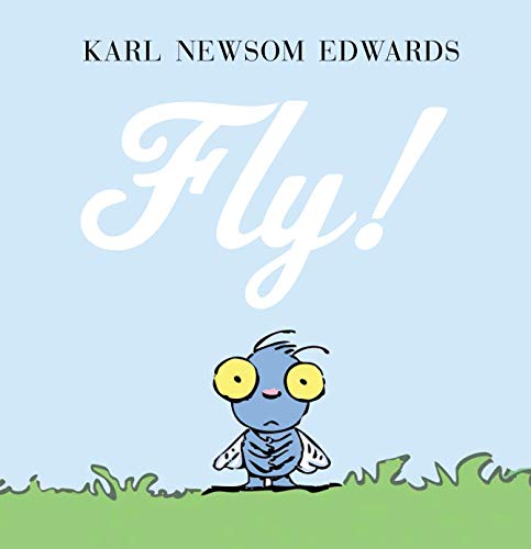 Fly! book cover