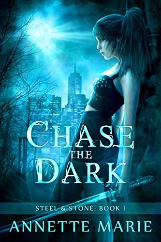 Chase the Dark (Steel & Stone, #1) book cover