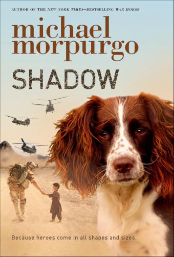 Shadow book cover