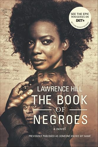 The Book of Negroes book cover