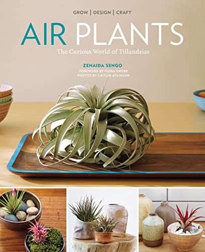 Air Plants: The Curious World of Tillandsias book cover
