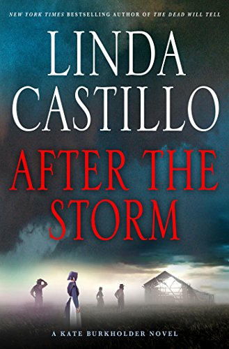 After the Storm (Kate Burkholder, #7) book cover