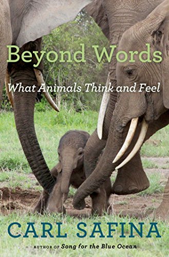 Beyond Words: What Animals Think and Feel book cover