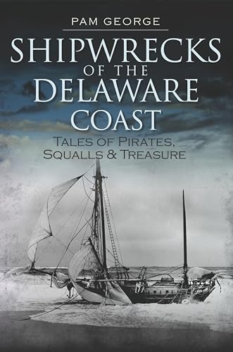 Shipwrecks of the Delaware Coast: Tales of Pirates, Squalls Treasure book cover