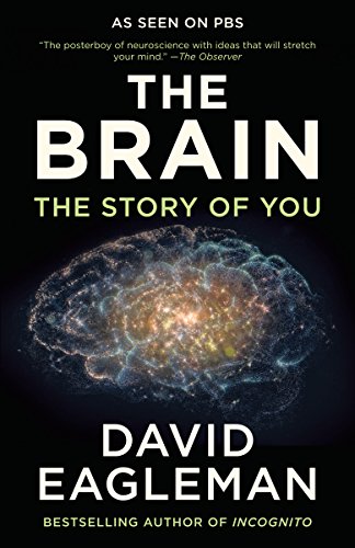 The Brain: The Story of You book cover
