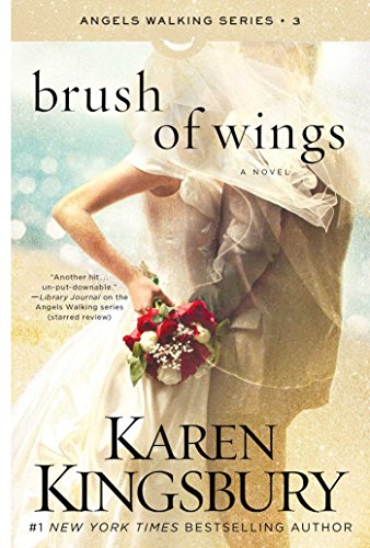 Brush of Wings book cover