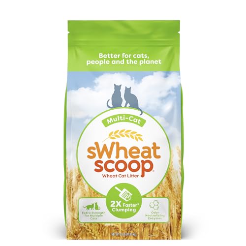 6 sWheat Scoop Superior Clumping Cat Litter