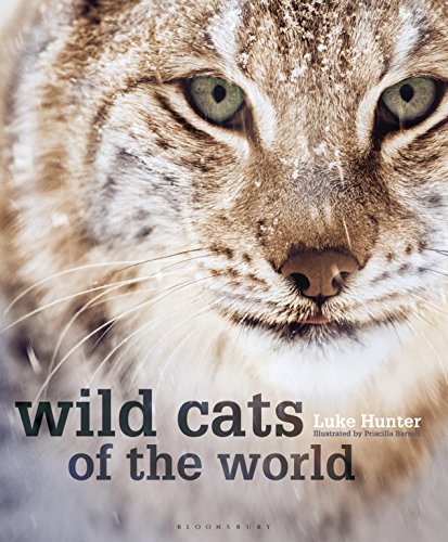 Wild Cats of the World book cover