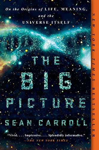 The Big Picture: On the Origins of Life, Meaning, and the Universe Itself book cover