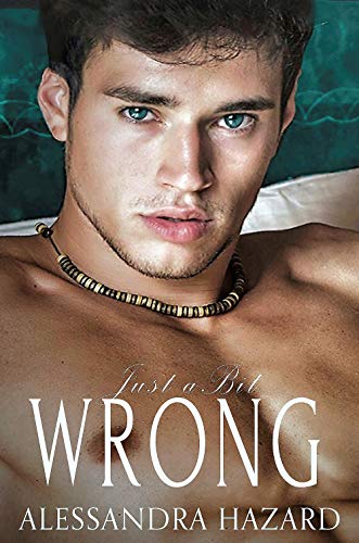 Just a Bit Wrong (Straight Guys, #4) book cover